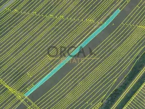 Prodej pole, Moravská Nová Ves, 3258 m2