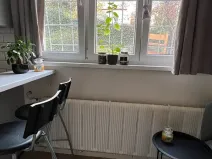 Prodej bytu 1+kk, Praha - Nusle, Pod vilami, 21 m2