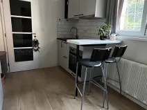 Prodej bytu 1+kk, Praha - Nusle, Pod vilami, 21 m2