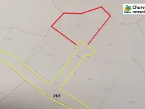 Prodej lesa, Novalja, Chorvatsko, 710 m2