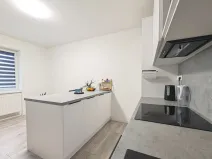 Pronájem bytu 3+kk, Mladá Boleslav, Žižkova, 90 m2