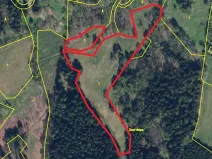 Prodej pozemku, Bartošovice v Orlických horách, 14908 m2