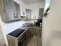 Pronájem bytu 1+kk, Bílovice nad Svitavou, Šebelova, 35 m2