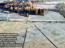 Prodej pole, Borkovice, 37657 m2