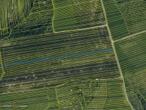 Prodej pole, Hradčovice, 4889 m2