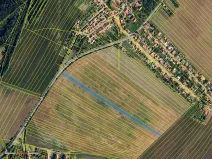 Prodej pole, Babice u Rosic, 6979 m2