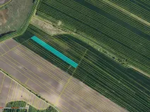 Prodej pole, Šakvice, 28679 m2