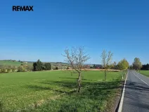 Prodej pozemku pro bydlení, Borová, 7429 m2