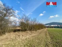 Prodej zahrady, Drásov, 2564 m2