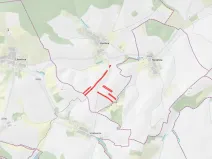 Prodej pole, Hoštice, 24927 m2