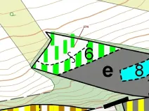 Dražba lesa, Jeviněves, 4557 m2