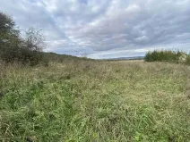 Dražba pozemku pro bydlení, Javorník, 1651 m2