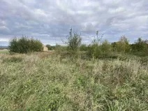 Prodej pozemku, Javorník - Horní Hoštice, 1651 m2