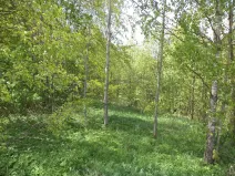 Prodej pozemku, Líšný - Líšný 2.díl, 1958 m2