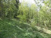 Prodej pozemku, Líšný - Líšný 2.díl, 1958 m2