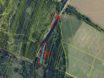 Prodej podílu lesa, Nová Hradečná, 2498 m2