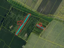 Prodej podílu lesa, Litohoř, 1843 m2