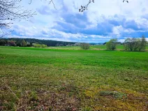 Prodej pozemku pro bydlení, Kozárovice, 2996 m2