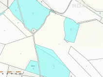 Prodej lesa, Věž, 41070 m2