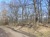 Prodej pozemku, Ústí nad Labem, 7064 m2