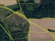 Prodej lesa, Červená Řečice, 48 m2