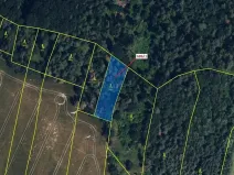Dražba lesa, Přemyslovice, 1280 m2