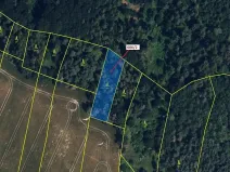 Dražba lesa, Přemyslovice, 1381 m2