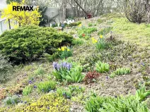 Prodej rodinného domu, Strážovice, 85 m2