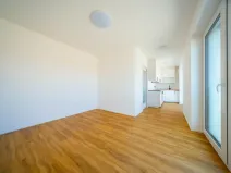 Pronájem bytu 1+kk, Brno, U zoologické zahrady, 29 m2