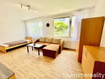 Pronájem bytu 1+1, Mladá Boleslav, Zalužanská, 42 m2