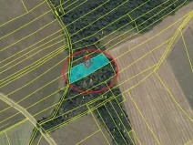 Prodej lesa, Krakovany, 3138 m2