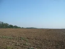 Prodej komerčního pozemku, Veltrusy, 27806 m2