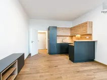 Pronájem bytu 2+kk, Brno, Stavební, 56 m2