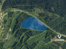 Prodej lesa, Loužnice, 41323 m2