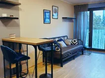 Pronájem bytu 1+kk, Praha - Žižkov, Olšanská, 32 m2