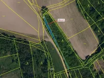 Dražba lesa, Bojkovice, 420 m2