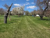 Prodej zahrady, Křenovice, 4967 m2