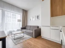 Pronájem bytu 2+kk, Praha - Karlín, Thámova, 48 m2