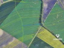 Prodej podílu pole, Šitbořice, 1030 m2