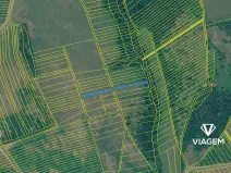 Prodej pole, Drslavice, 1464 m2