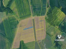 Prodej pole, Drslavice, 4361 m2