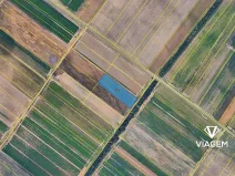 Prodej pole, Dřísy, 3858 m2