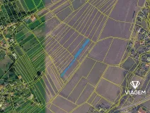 Prodej pole, Písečná, 2024 m2