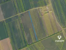 Prodej pole, Nivnice, 8001 m2