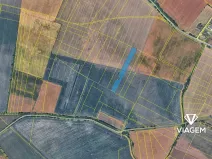 Prodej pole, Sudovo Hlavno, 5925 m2