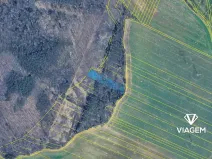 Prodej lesa, Chudčice, 2989 m2