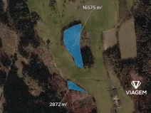 Prodej podílu lesa, Horní Podluží, 3241 m2