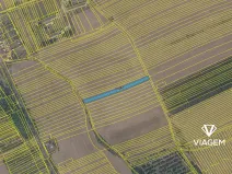 Prodej pole, Kněždub, 1942 m2