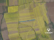 Prodej pole, Kněždub, 6276 m2