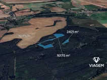 Prodej podílu lesa, Libovice, 2324 m2